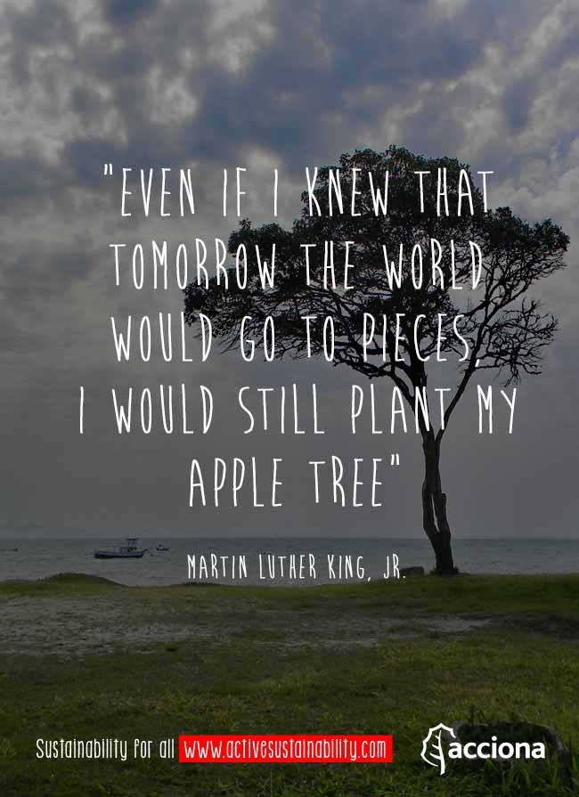 Martin Luther King, Jr. and trees Martin Luther King, Jr. and trees