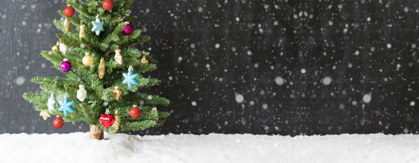 Carbon footprint: Natural vs plastic Christmas tree