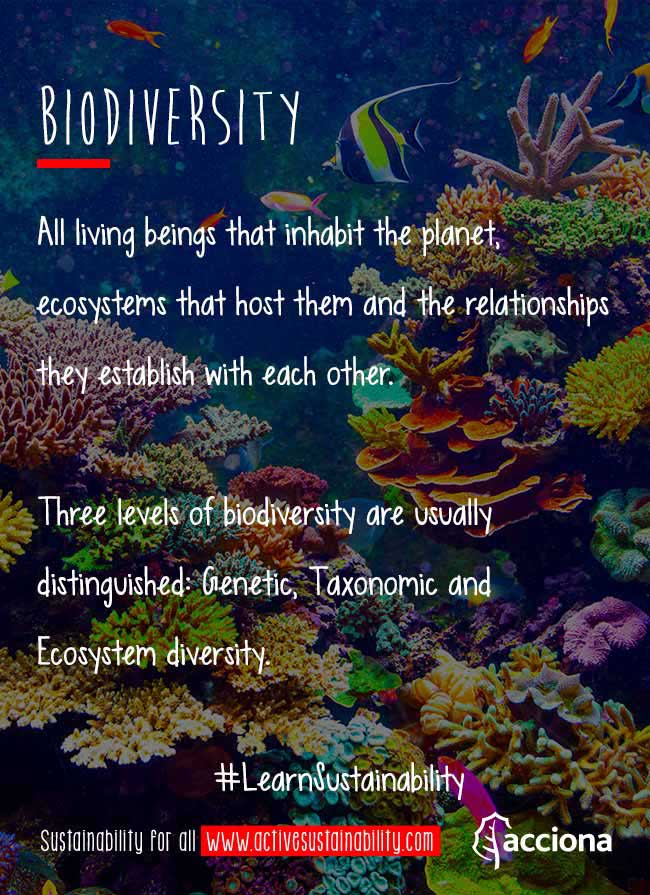 #LearnSustainability: Biodiversity
