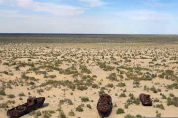 The Aral Sea become dried out because of the cotton production