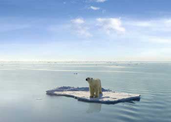 Consequences of climate change