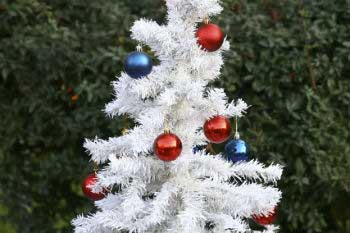 Reutilise it for at least 12 years