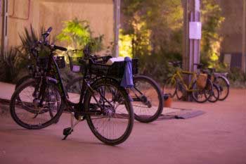  Transport used to go to the event is important