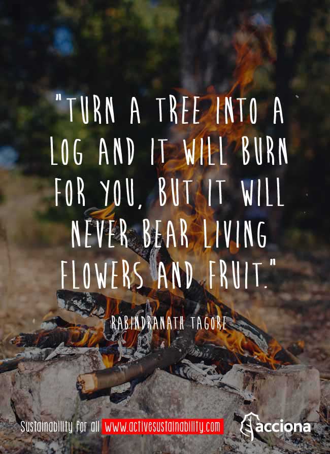 Rabindranath Tagore and the trees