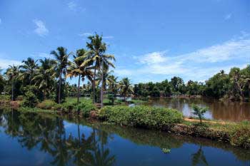 The coast of Kerala, in southwest India