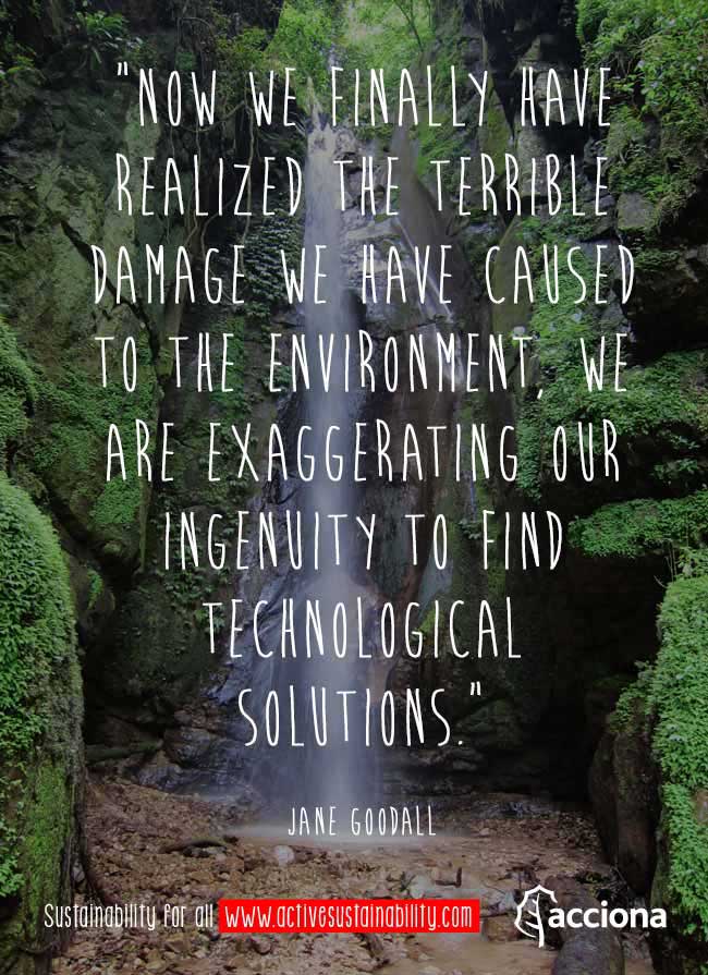Jane Goodall and environment Jane Goodall and environment