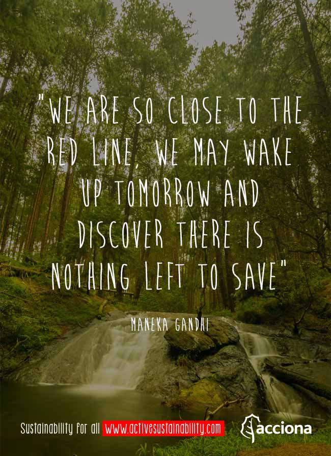 Maneka Gandhi and the red line Maneka Gandhi and the red line