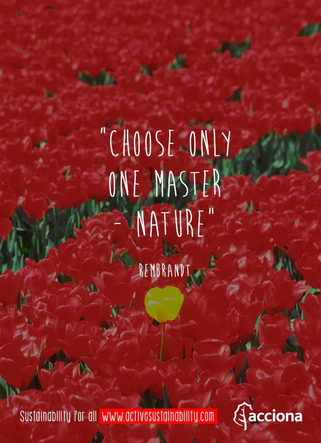 Rembrandt and the only one master