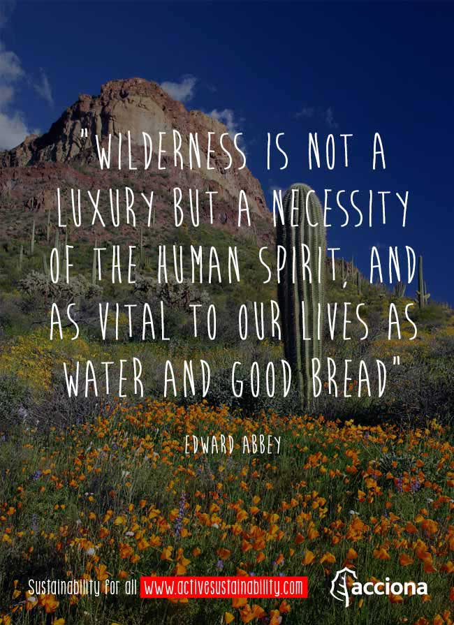 Edward Abbey and nature
