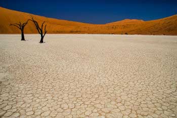 World Day to Combat Desertification and Drought