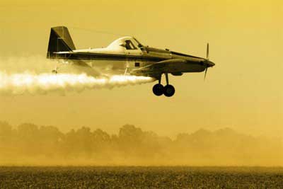 A model that abuses pesticides and fertilizers