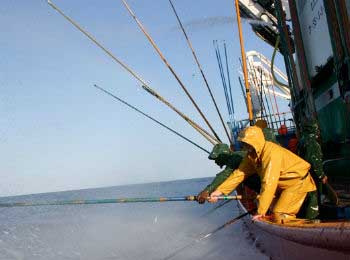 Traditional fishing Sustainable fishing or traditional fishing