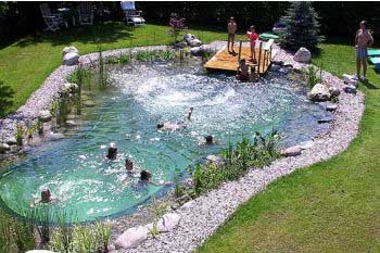 sustainable swimmingpool