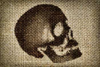 Synthetic dyes use heavy toxic metals Synthetic dyes use heavy toxic metals