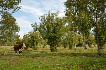 We have to protect and preserve natural, landscape and cultural resources