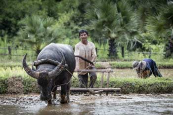 The rural-urban gap still existed in the whole world