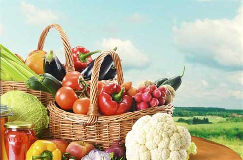 Try sustainable cuisine