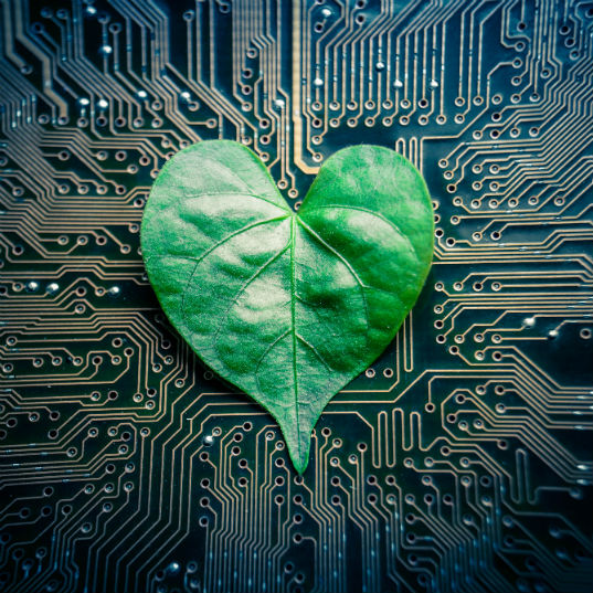 Environmental, social and governance criteria