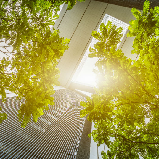 Trends in renewable energies, construction and water