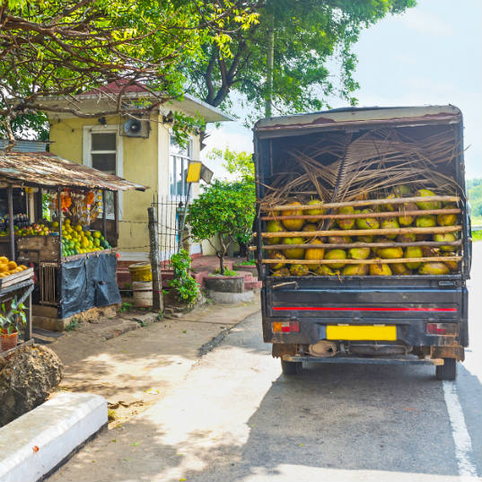 Responsible consumption and the benefits of local consumption