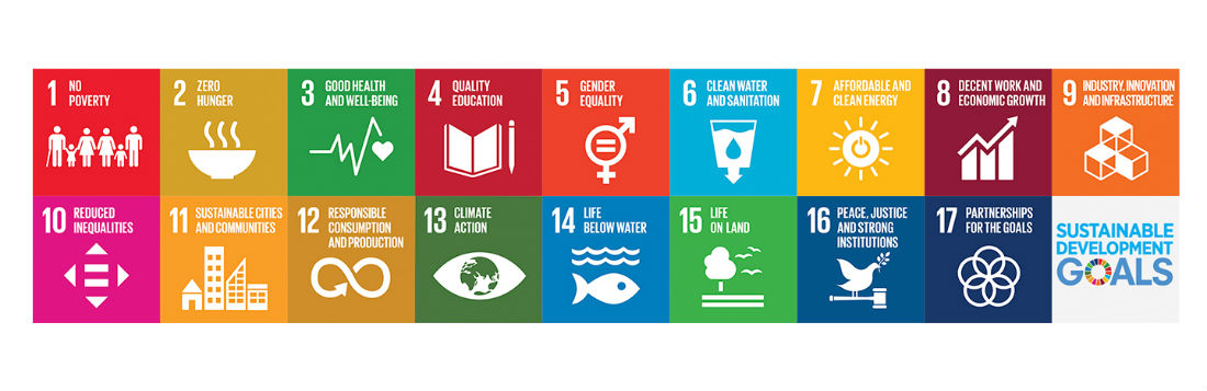 SDG Sustainable Development Goals