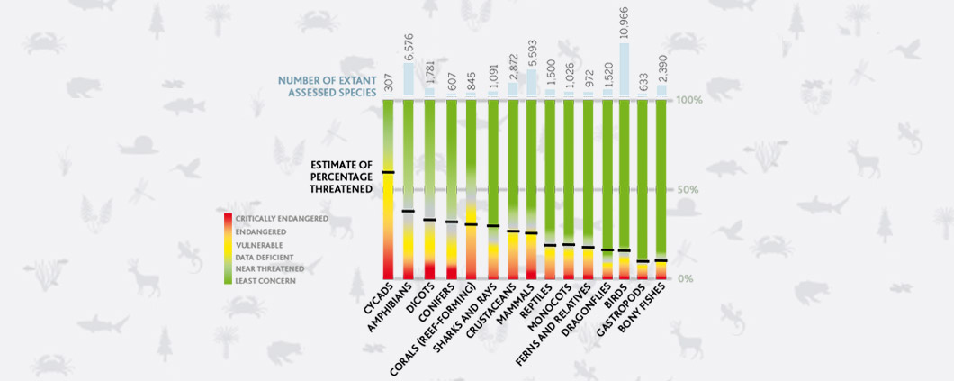 IPBS publish animals in danger