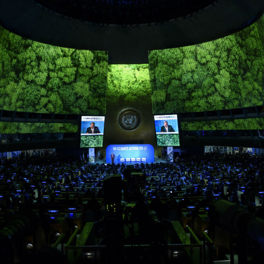 Cumbre del Clima Nueva York