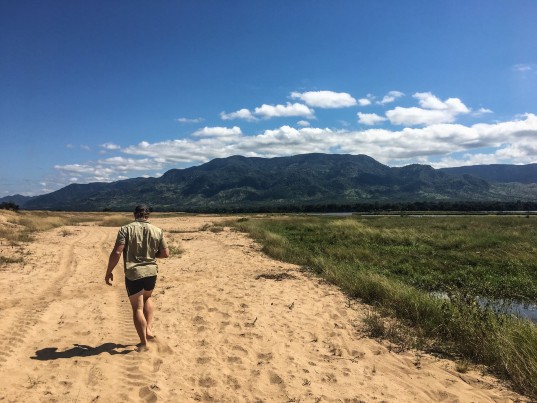 david pocock zimbabwe acciona