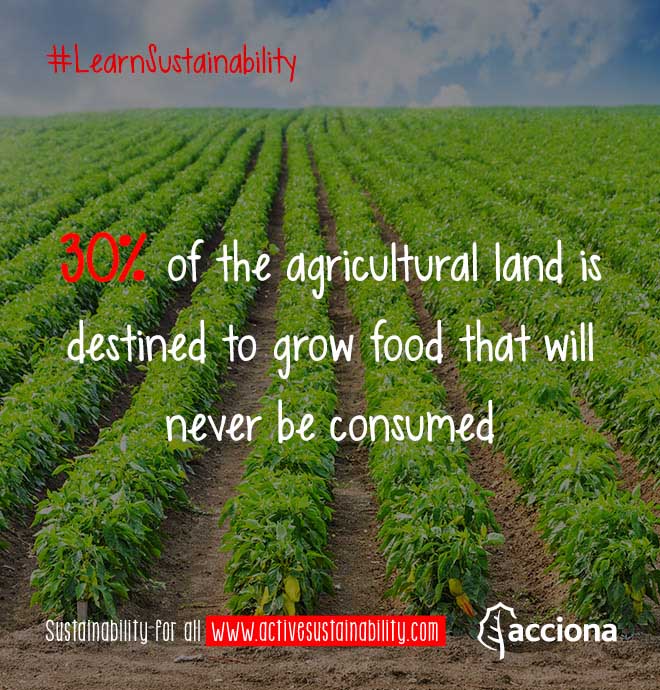 #LearnSustainability: Wasted agricultural land