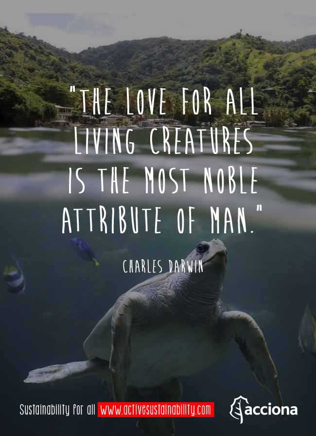 Charles Darwin and the love for animals