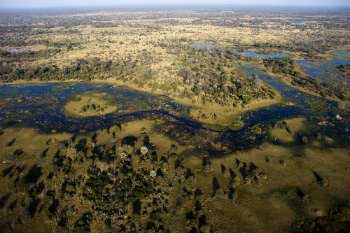 Okavango delta in Botswana (Africa)