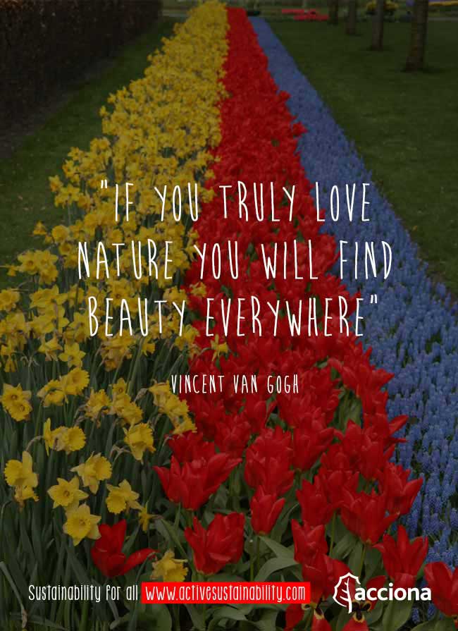 Van Gogh and nature