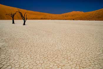 Against desertification: restore land