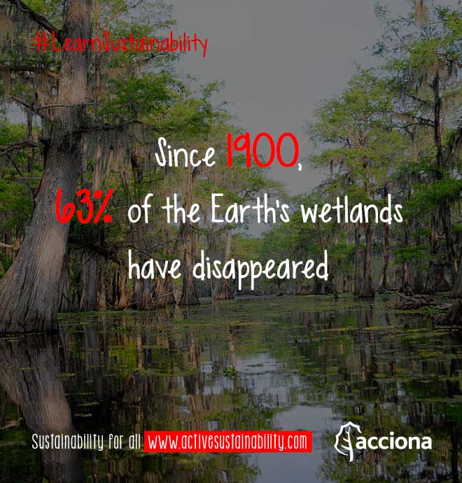#LearnSustainability: Wetlands disappearence