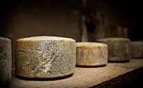Making a 1 Kg hard cheese generates 12 Kg of CO2