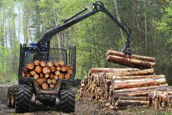 The timber certification ensures sustainable and responsible exploitation