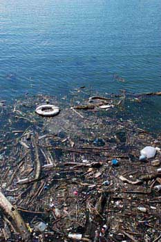 Inorganic debris endanger aquatic life