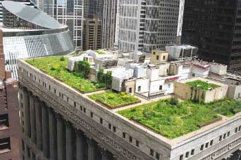 Green roofs at cities