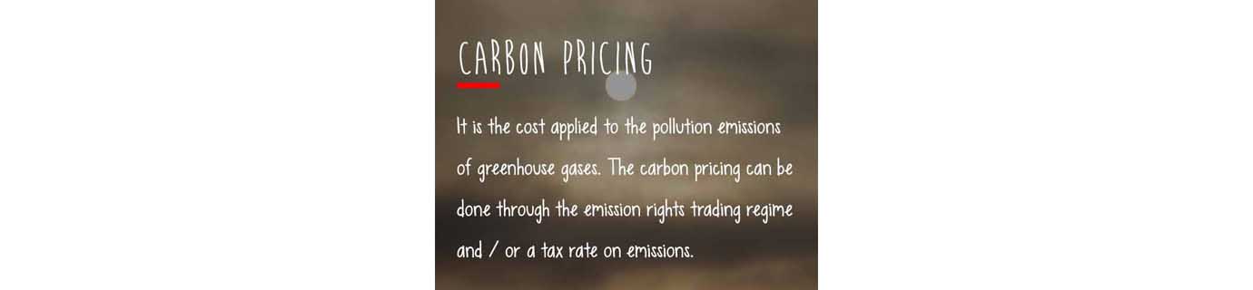 #LearnSustainability: Carbon pricing