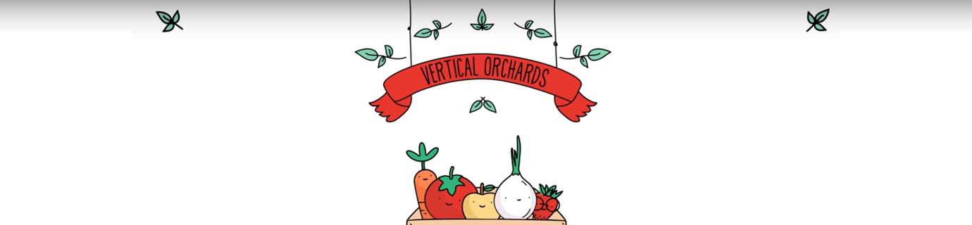 How to make a vertical orchard: steps to follow