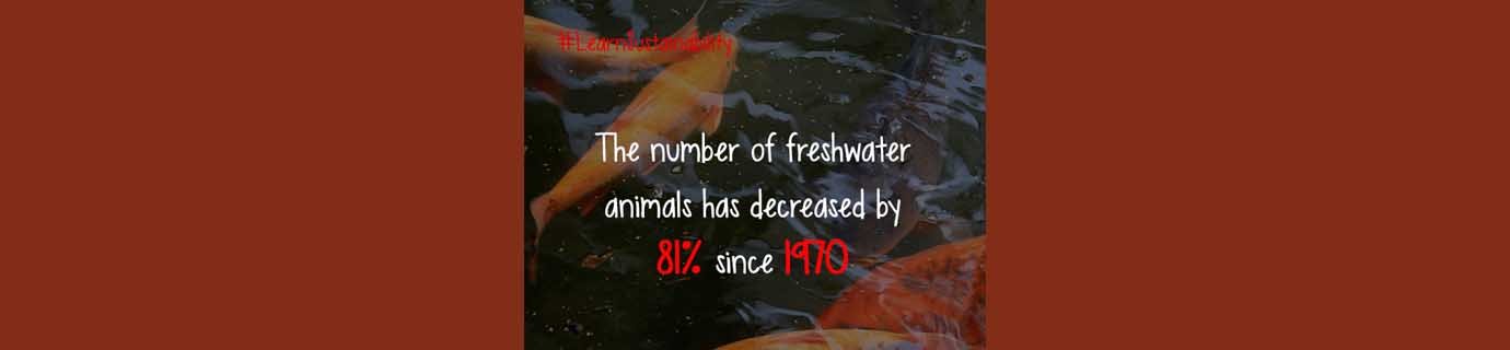 #LearnSustainability: Freshwater animals