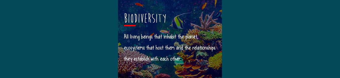 #LearnSustainability: Biodiversity