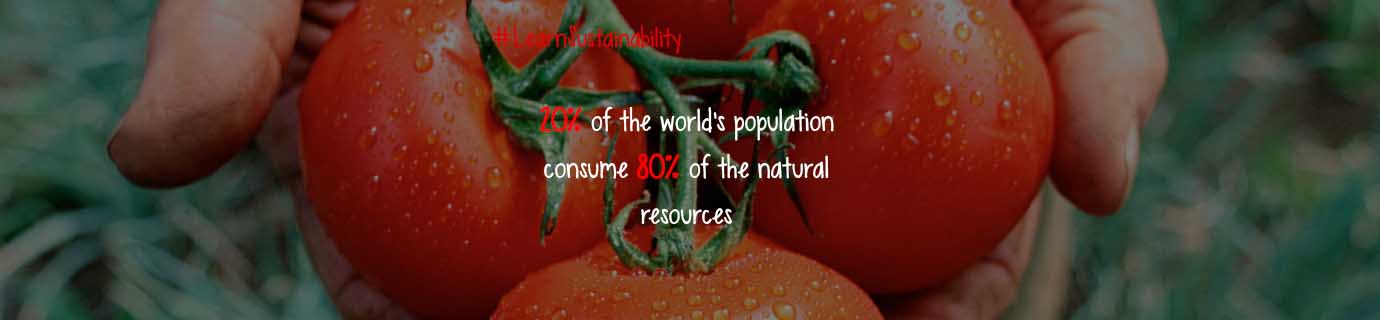 #LearnSustainability: Resources consumption