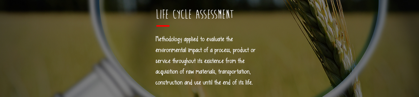 #LearnSustainability: Life cycle assessment