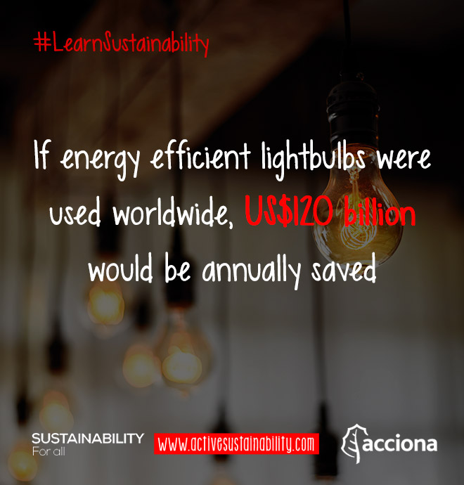 #LearnSustainability: Efficient lightbulbs and worldwide savings