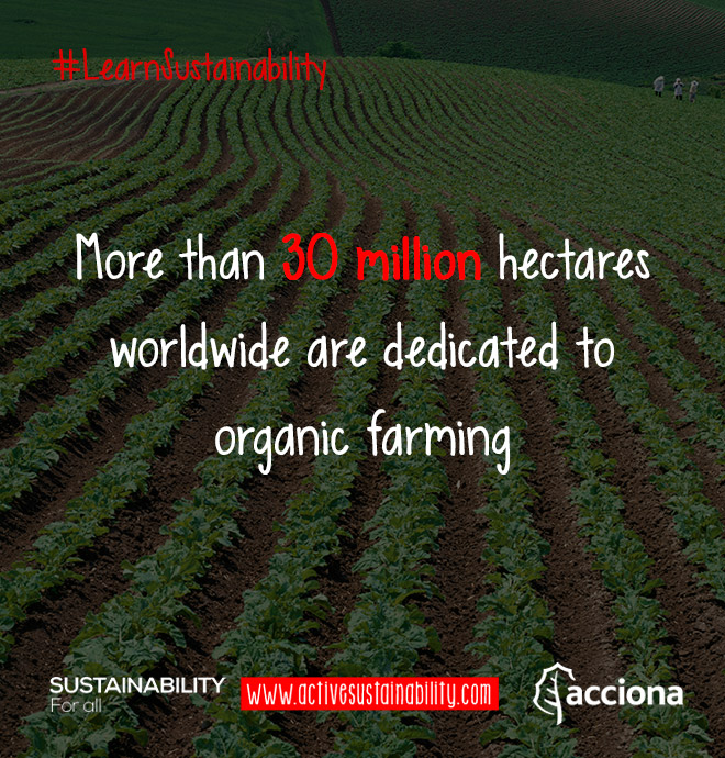 #LearnSustainability: Organic farming