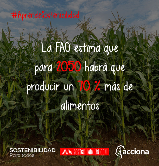 #LearnSustainability: Food production by 2050