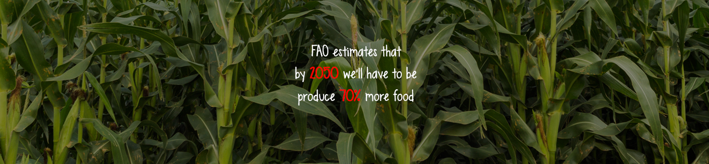 #LearnSustainability: Food production by 2050