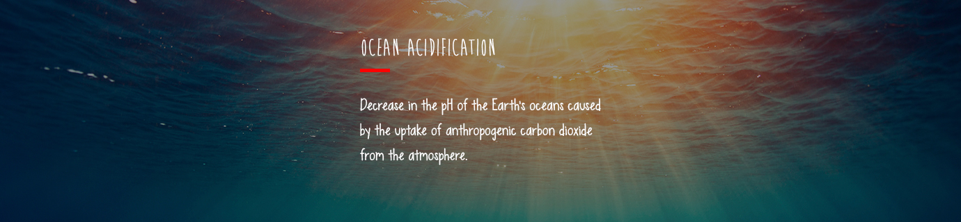 #LearnSustainability: Ocean acidification