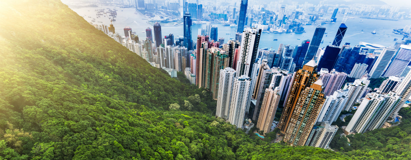 C40 Cities, cities against climate change